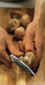 manitaria